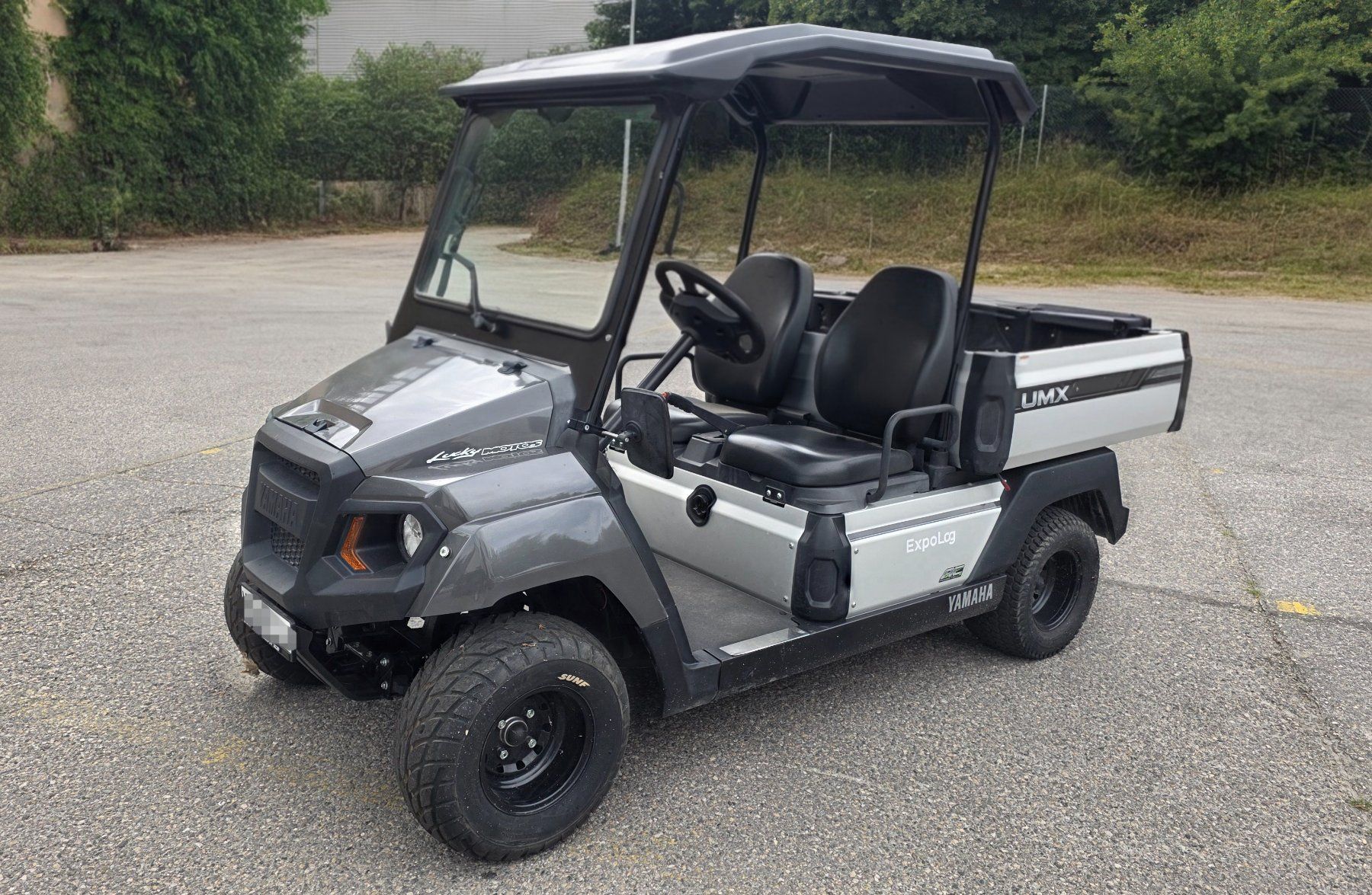 Veicoli elettrici: Yamaha UMX AC Elektro mit Strassenzulassung – Usato da Grenchen venduto da Mluka 1