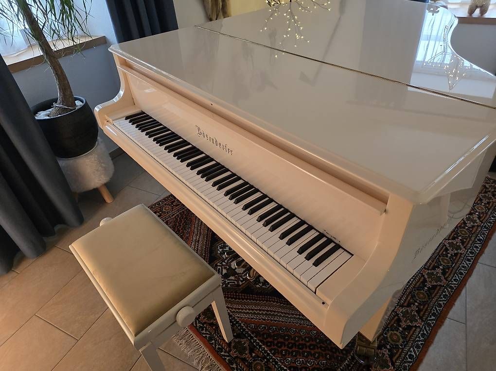 Bösendorfer Strumenti musicali: Bösendorfer 170cm – Usato da Waltensburg/Vuorz venduto da Buddhas 2