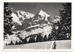 WILDHAUS Skigebiet - Blick zum Säntis