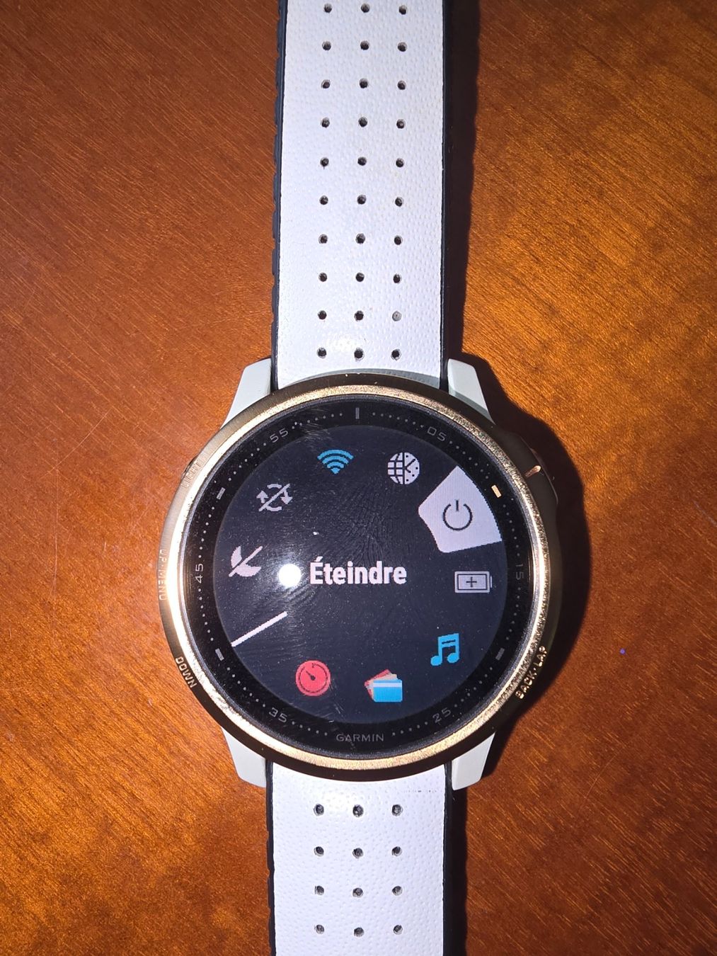 Garmin Smartwatch: MONTRE CONNECTEE GARMIN FENIX 6S PRO – Usato da CORGEMONT venduto da hoodoo2007 2