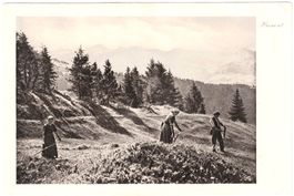 HEUET einer Familie im BERNBIET ca. 1910 ??? (1910)