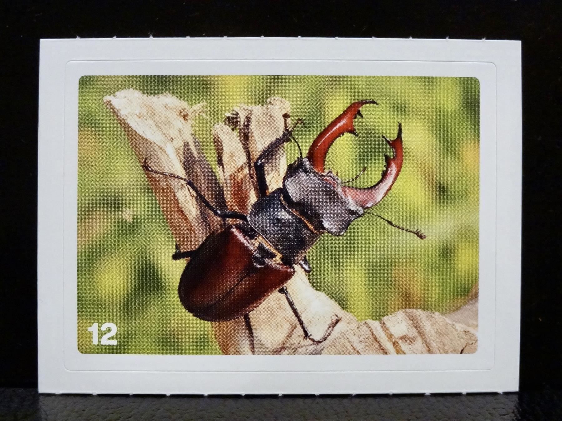 Migros Carte collezionabili: MIGROS MANIA Nature Detectives Nr. 12 – Nuovo e nell'imballaggio originale da Kerzers venduto da zimmergruen