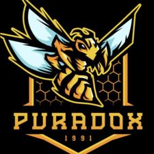 Profile image of PARADOX_suisse