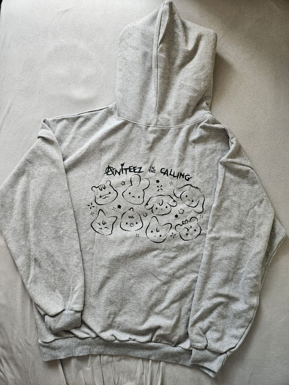Maglioni & Felpe: Ateez Aniteez in the Calling Hoodie – Usato da Au ZH venduto da Lattee01 1