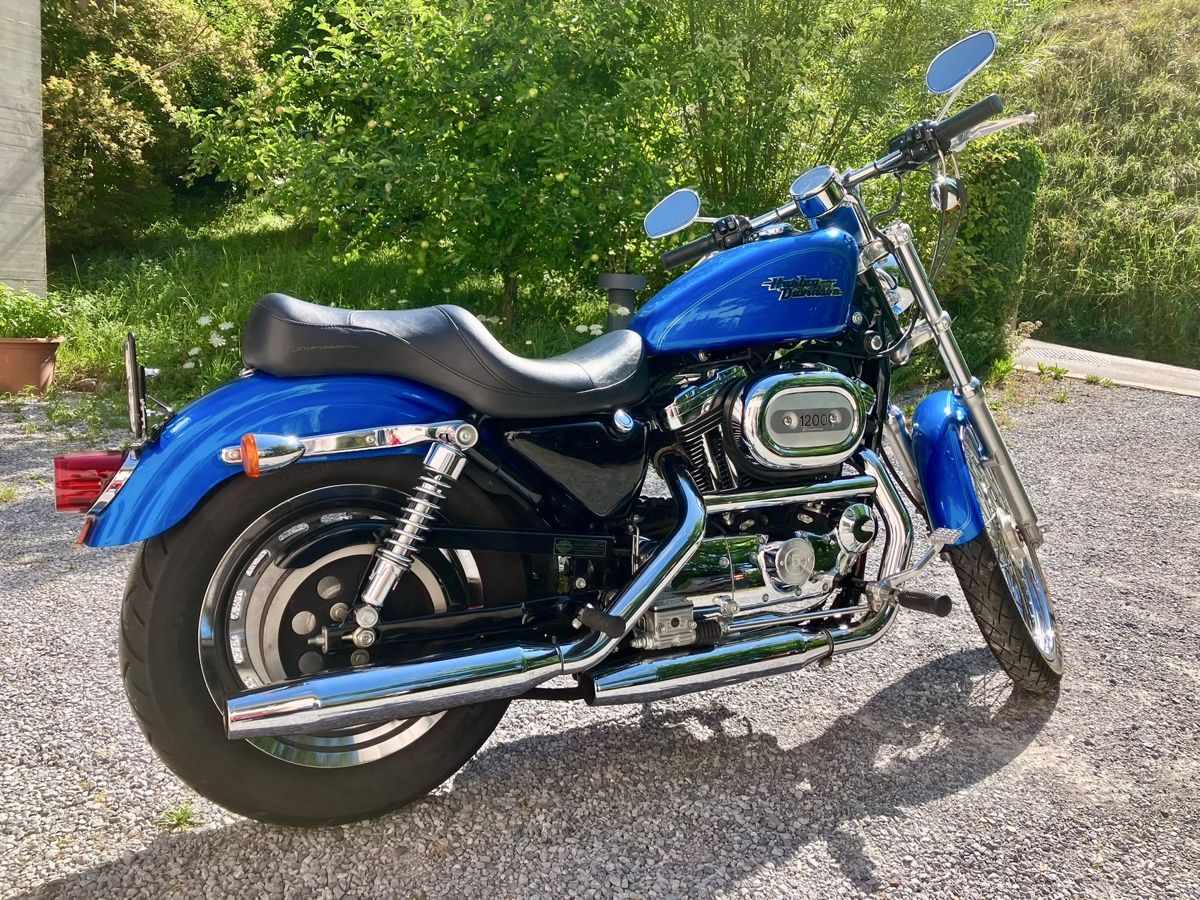Harley-Davidson Chopper: Harley-Davidson Sportster – Gebraucht aus Winterthur von aja-8311 5