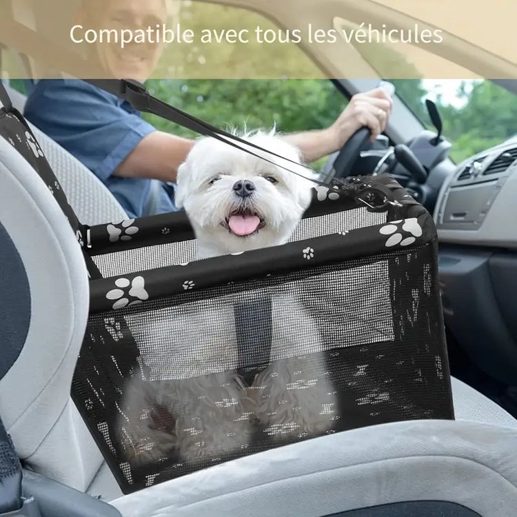Sitemapcdatahttpsmodeinf Inetcompoussette Chien Occasion