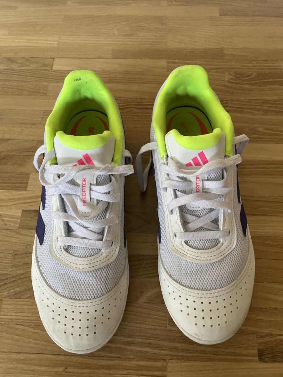 Adidas Scarpe da uomo: Adidas Predator Hallenschuh /  Grösse 38 2/3 – Usato da Wiesendangen venduto da armandinho 2