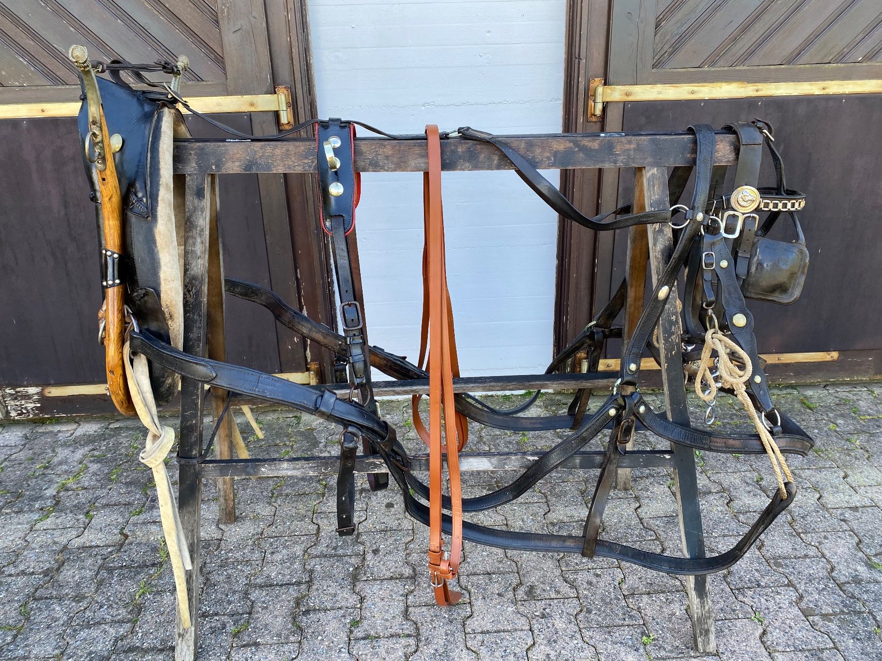 Carrozze: schönes Bündnergeschirr – Usato da Feldbach venduto da Fea1