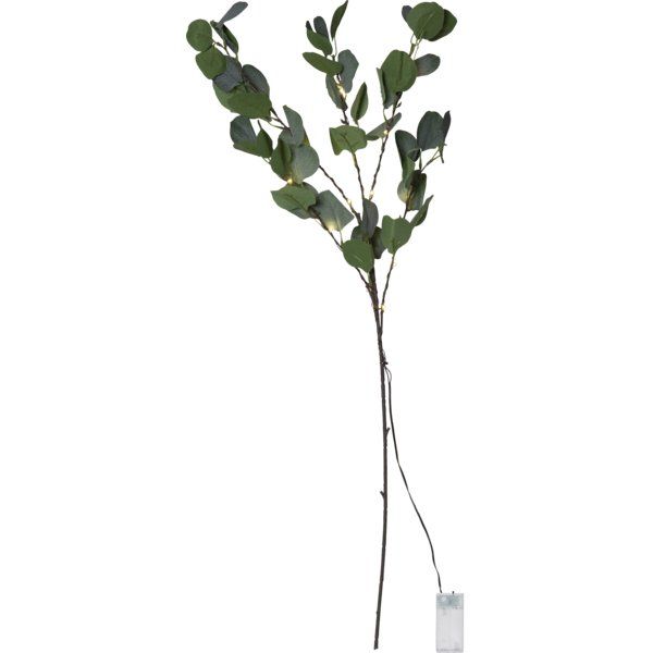 Tutte le decorazioni: LED Dekorationszweig Eucalyptus warmweiss – Nuovo e nell'imballaggio originale da St. Niklausen OW venduto da LED-Shop
