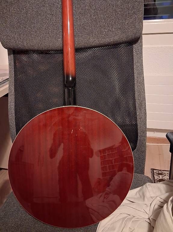 Strumenti musicali: Tenor Banjo Tennesse – Usato da Lotzwil venduto da bea_fn77 2