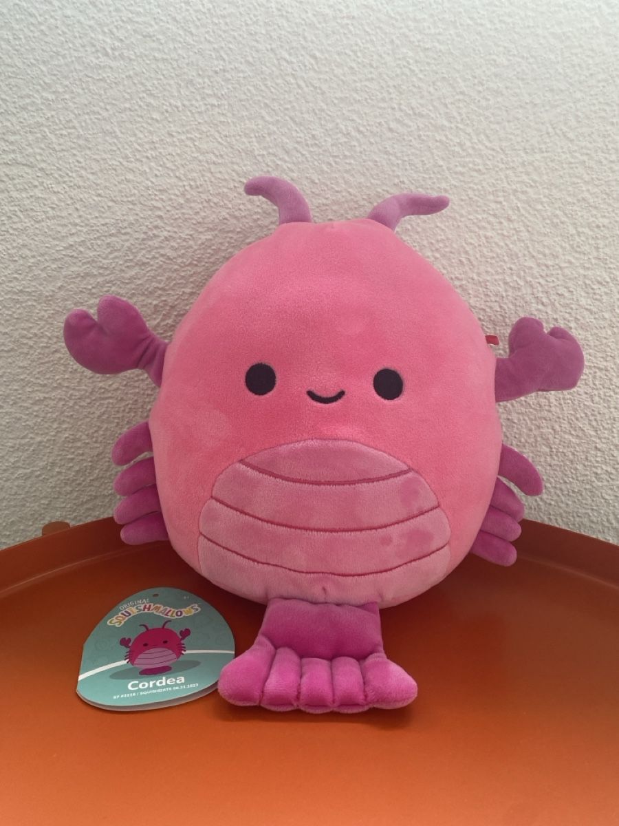 Squishmallows Giocattoli: Squishmallows Cordea Krabbe, neuwertig! – Nuovo (secondo la descrizione) da Seuzach venduto da freiheiten