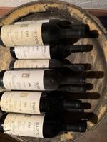 Zehn Flaschen Barolo 1993