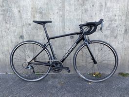 SALE! Cannondale CAAD Optimo Rennvelo, Grösse 58
