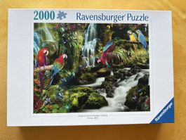 Ravensburger Puzzle 2000 Teile Papageien Wasserfall