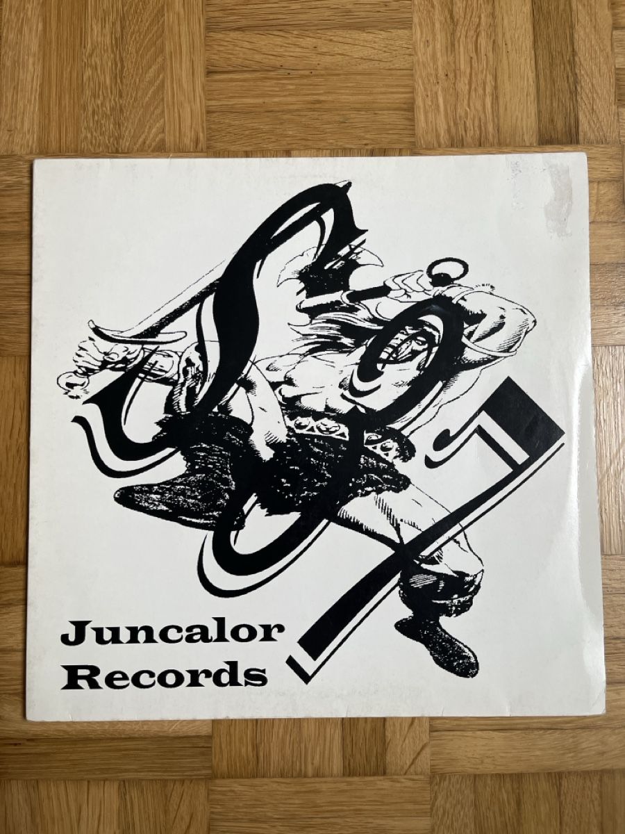 Dischi in vinile: S37 Hardcore / Speedcore Vinyl – Usato da Wangen b. Olten venduto da break72