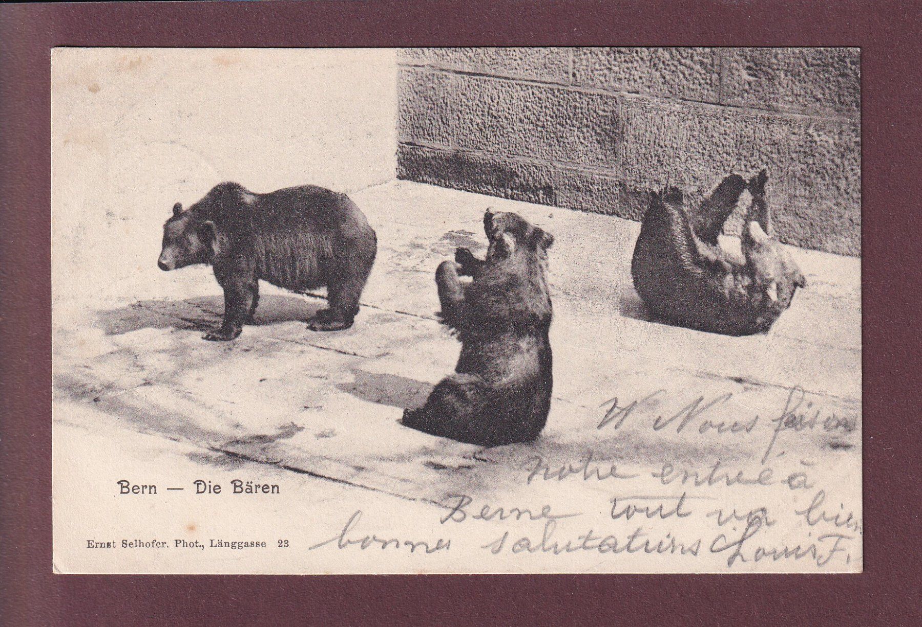 Cartoline postali: BERN - Bärengraben - 1905 – Usato da Pully venduto da nicecards