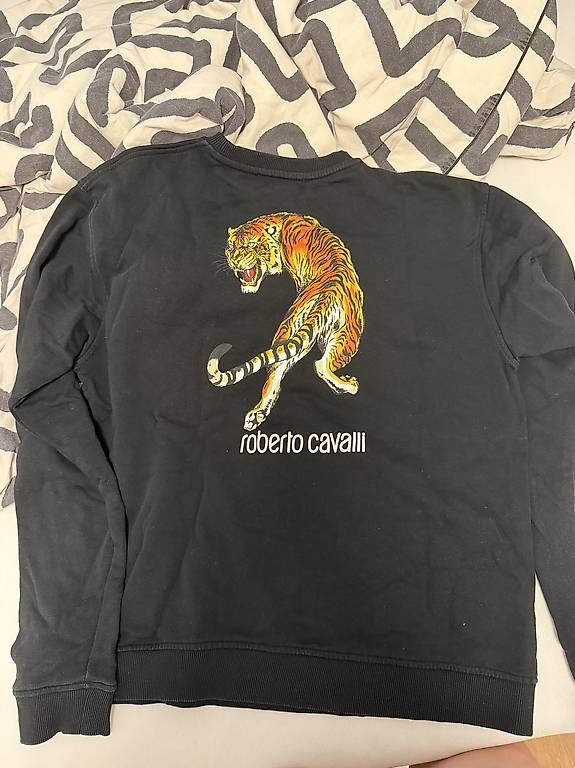 Roberto Cavalli Maglioni & Felpe: Roberto Cavalli Pulli – Usato da Rotkreuz venduto da andgav11 2