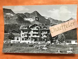 1959  Kurhaus Bellevue, Axalp 