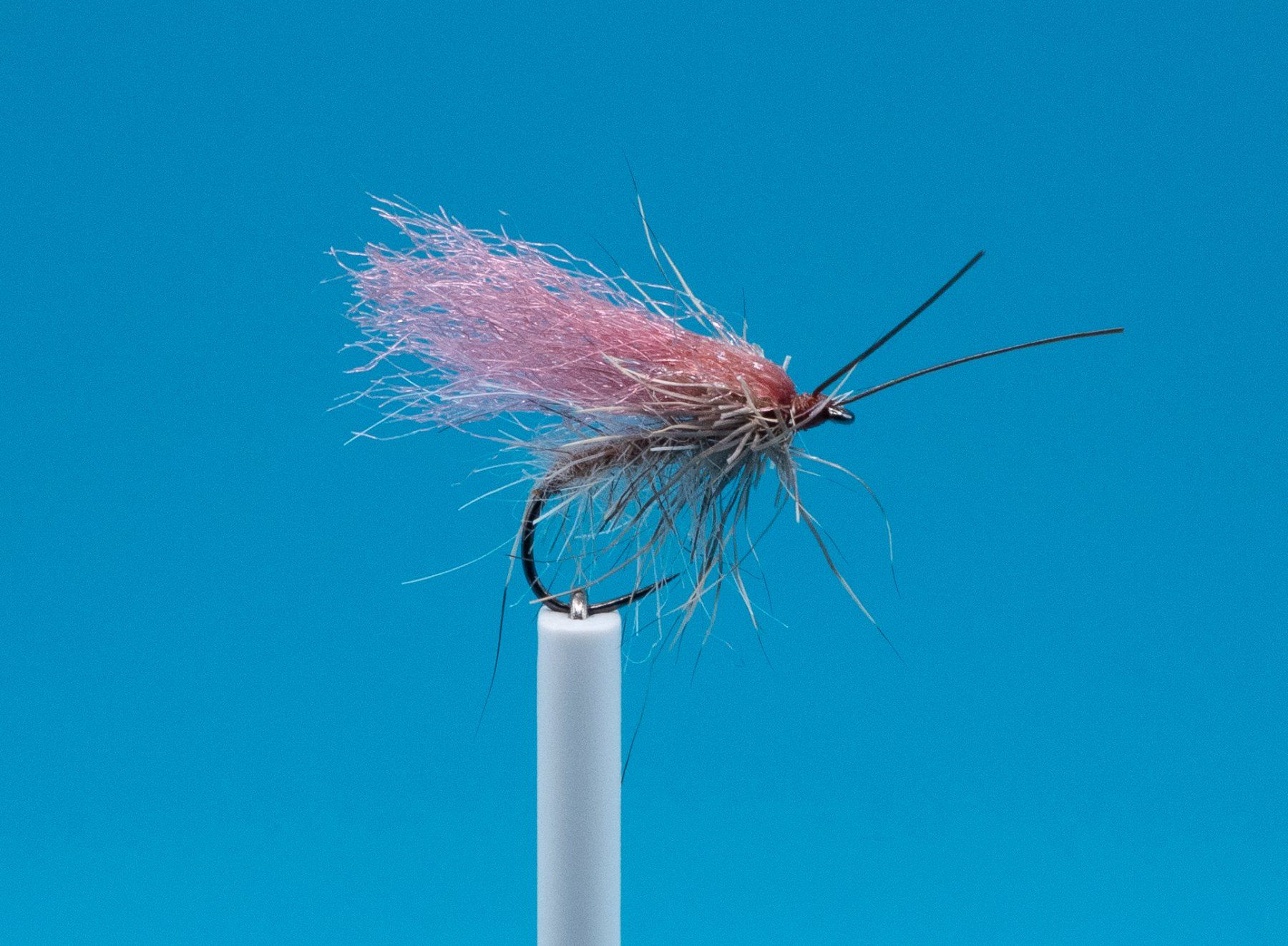 Esche: 5 Caddis Fly Grösse 10 – Nuovo e nell'imballaggio originale da Grenchen venduto da firefly2000 7
