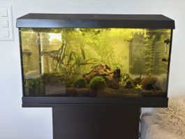 Juwel Aquarium mit Unterschrank & Zubehör zu verkaufen.