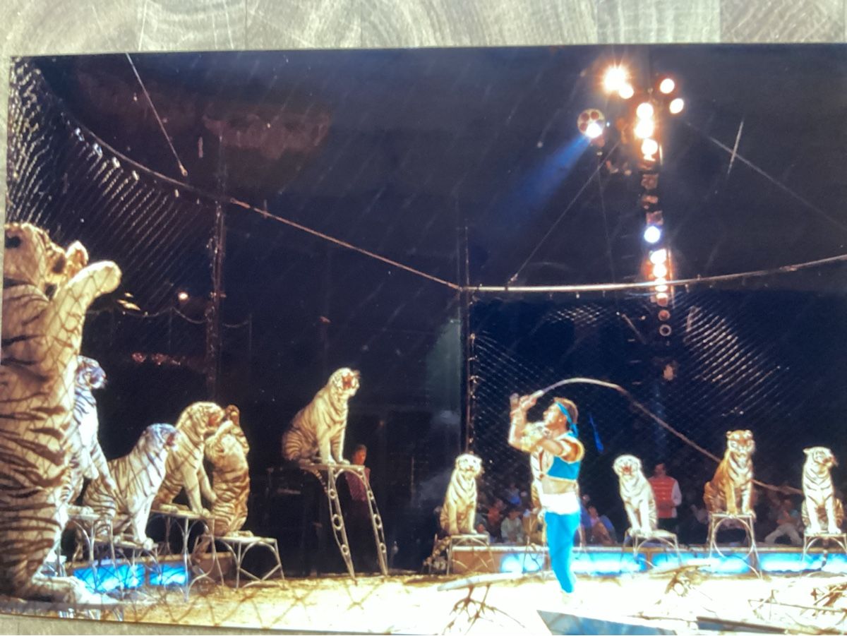 Foto & Immagini: Circus Knie Foto 1988 – Usato da Reichenbach i. K. venduto da astra2010