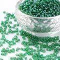 Perle (finte): Rocailles Transparent Dunkelgrün 30g / 3mm – Nuovo (secondo la descrizione) da Rüegsau venduto da Tausendfreund