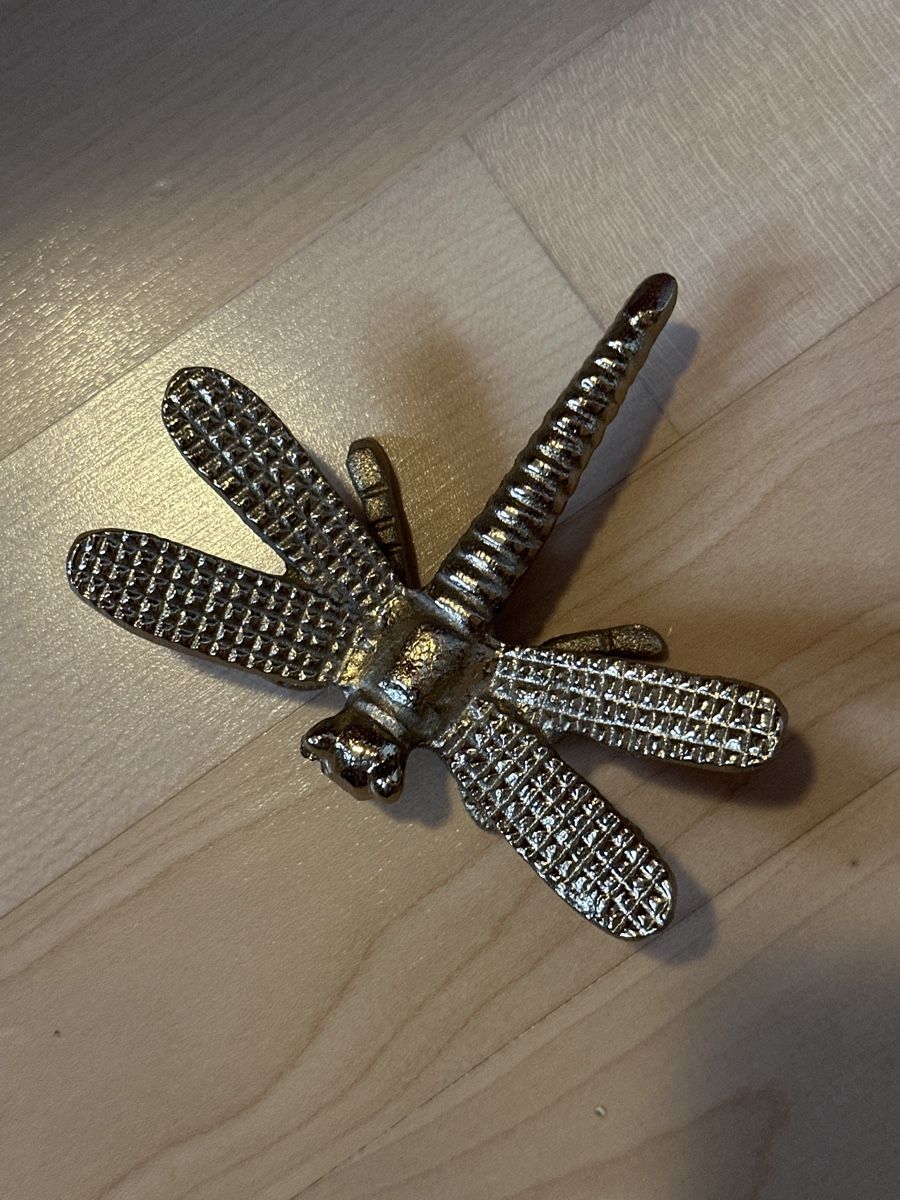 Alle Dekorationen: Goldige Käfer Deko: 4er Set mit Libelle, Käfer, Schmetterlig – Neu (gemäss Beschreibung) aus Hergiswil NW von kaufe_at_kaufmann 1