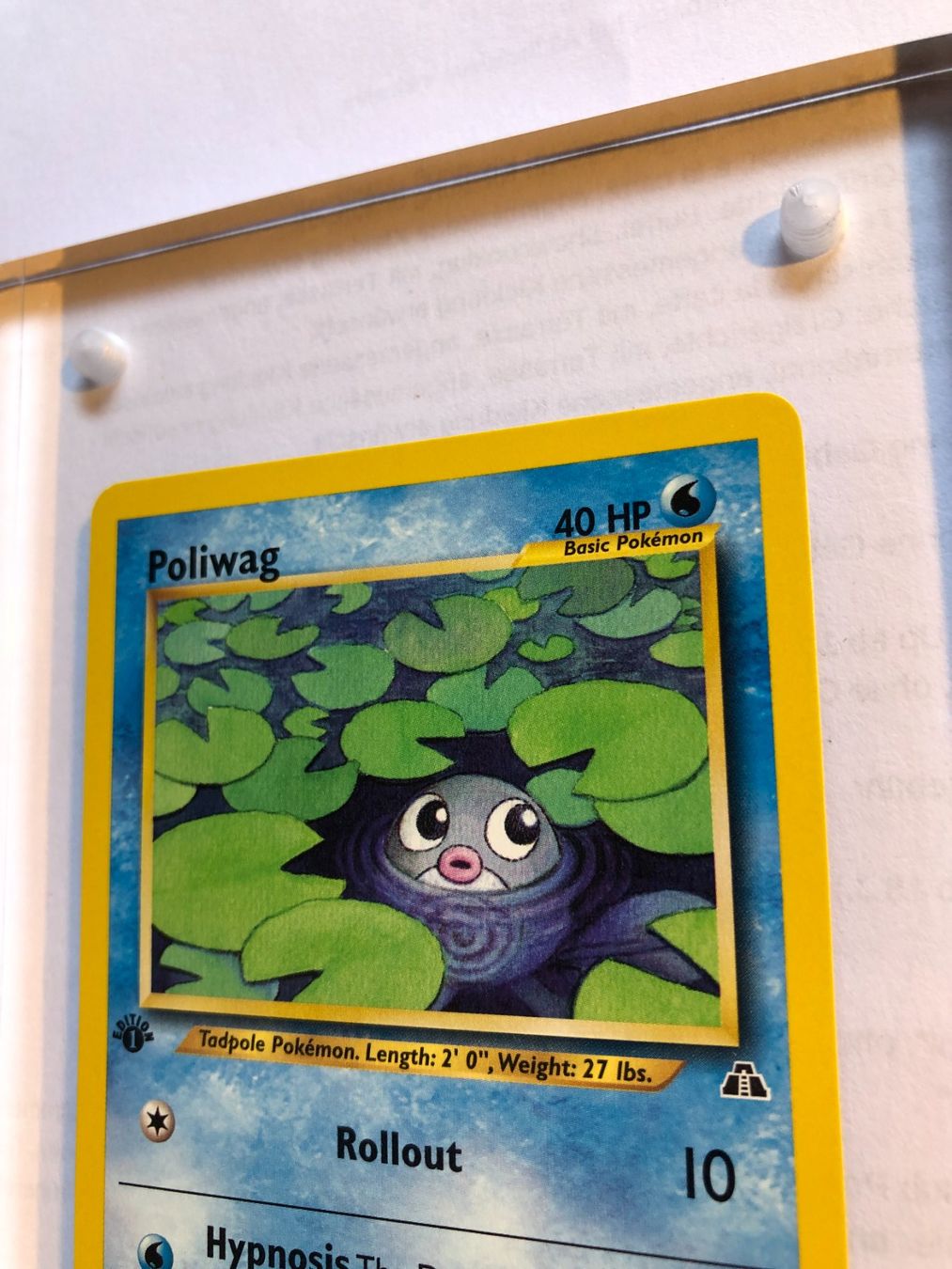 Carte collezionabili: Poliwag 1st Neo Discovery - MINT - ab 1.- – Usato da Giubiasco venduto da dan_pr8b 3