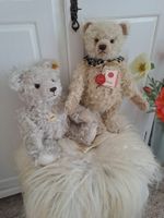 Teddy Bären
