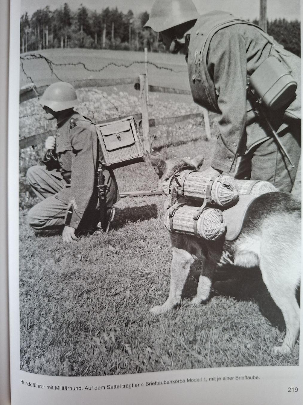 Libri: Schweizer Armee Militär,  Brieftauben Buch – Usato da Schwanden Sigrisw venduto da len_9yqg 7