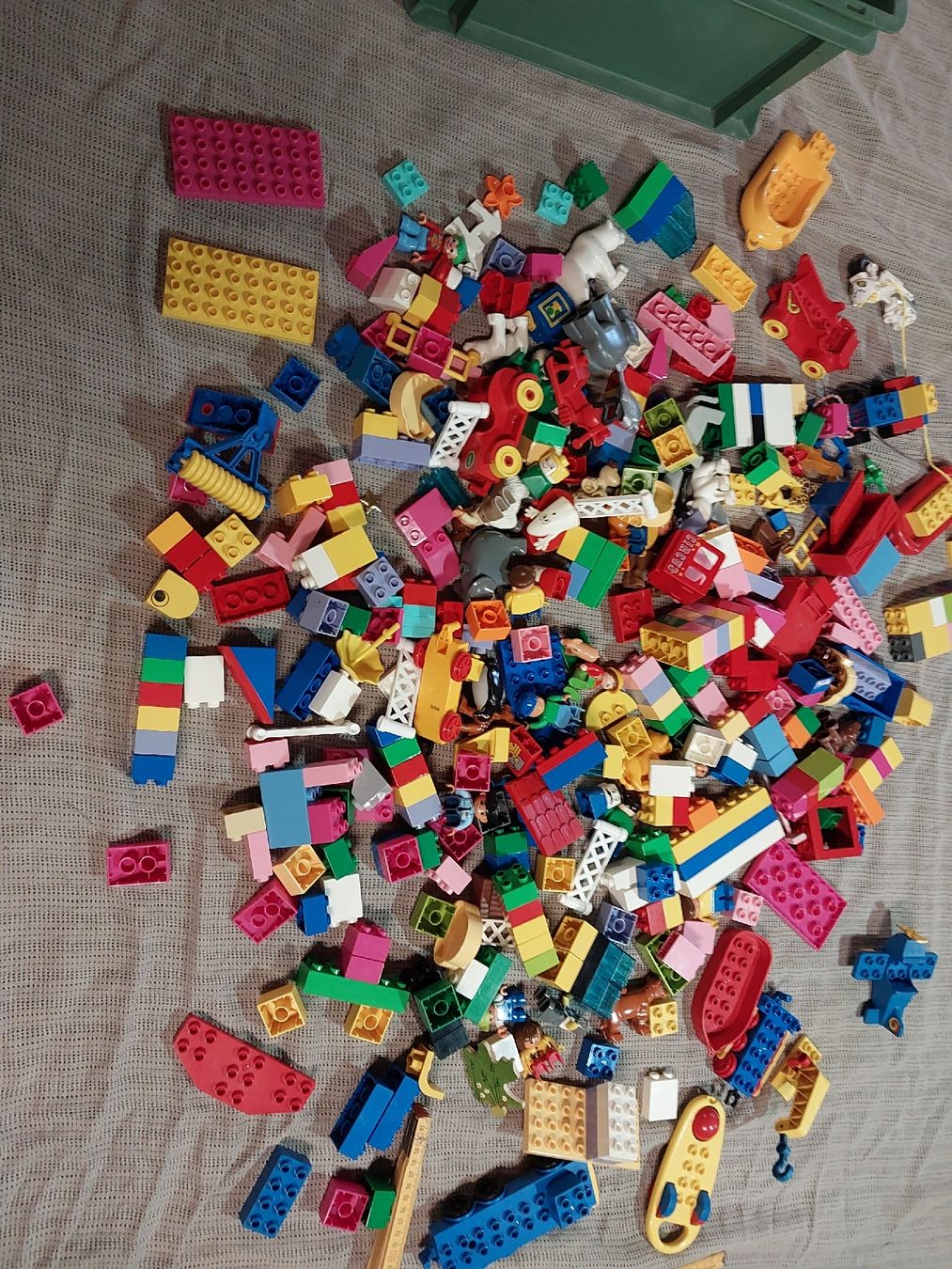 Lego Giocattoli: Lego Duplo ca. 200 Teile – Usato da oetwil am see venduto da timmy010 1
