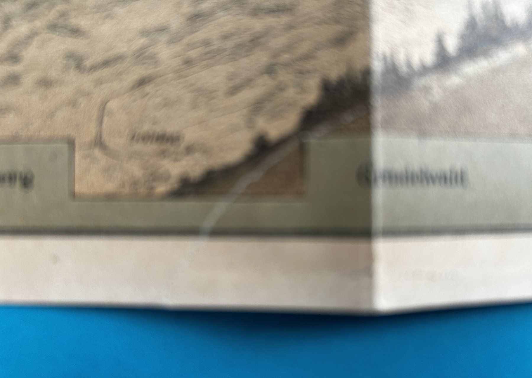 Cartine & Atlanti: PANORAMA VOM ROSSBERG (SAC 1887) – Usato da Zürich venduto da Domus09 7