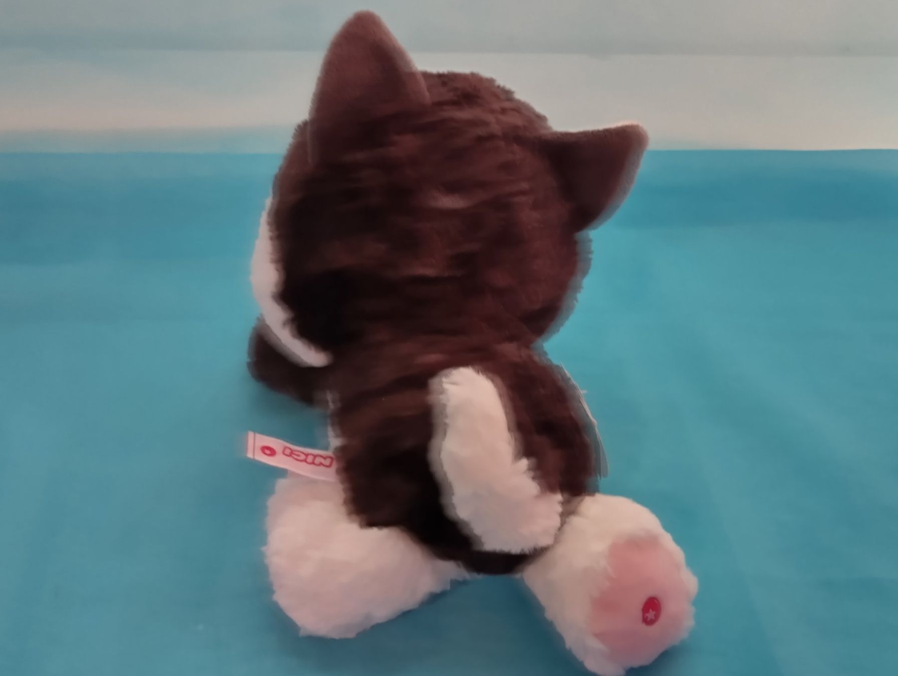 Nici Giocattoli: NICI Husky, Neu!, L: 20cm – Nuovo (secondo la descrizione) da Bellach venduto da JingleCherry 2