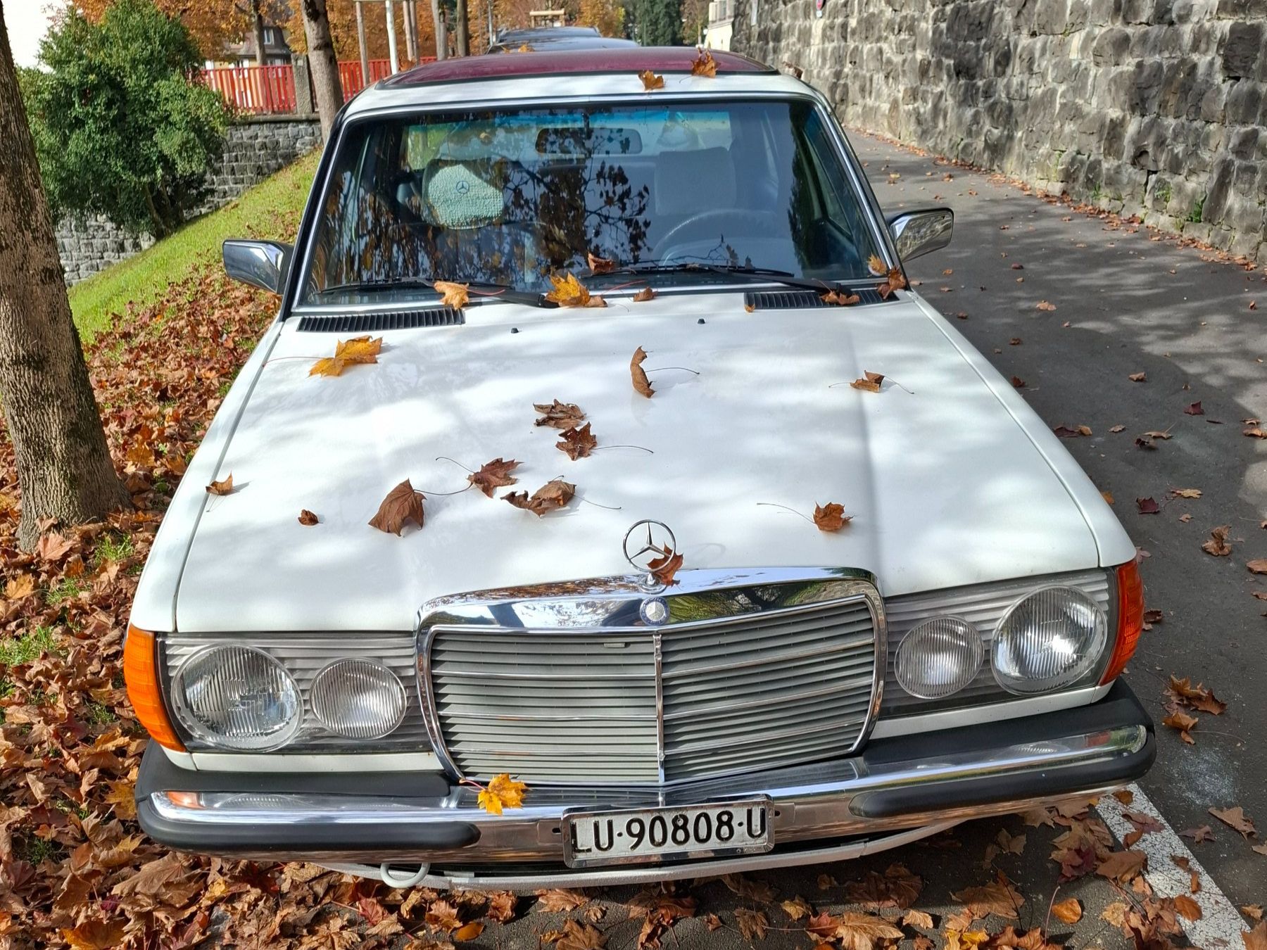 Mercedes-Benz Autos: Merdedes-Benz 230E  123, MFK 10,2025 – Gebraucht aus Adligenswil von Exnovo 6