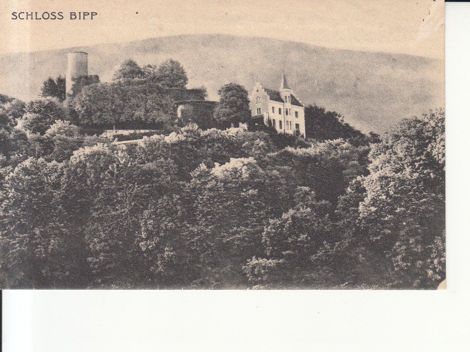 Cartoline postali: Bipp Schloss ca. 1910 – Usato da Bürglen TG venduto da StampGraf
