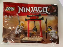 Lego Ninjago 30530, lego polybag, Wu-cru Target Training