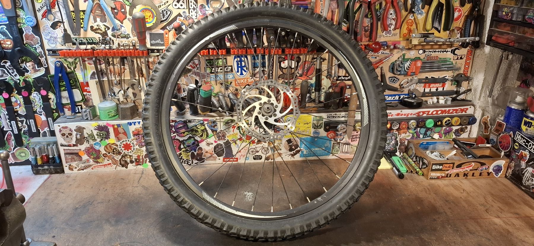 Pièces détachées: MTB Vorderrad 24" disk – D'occasion à Adliswil par trujillo01