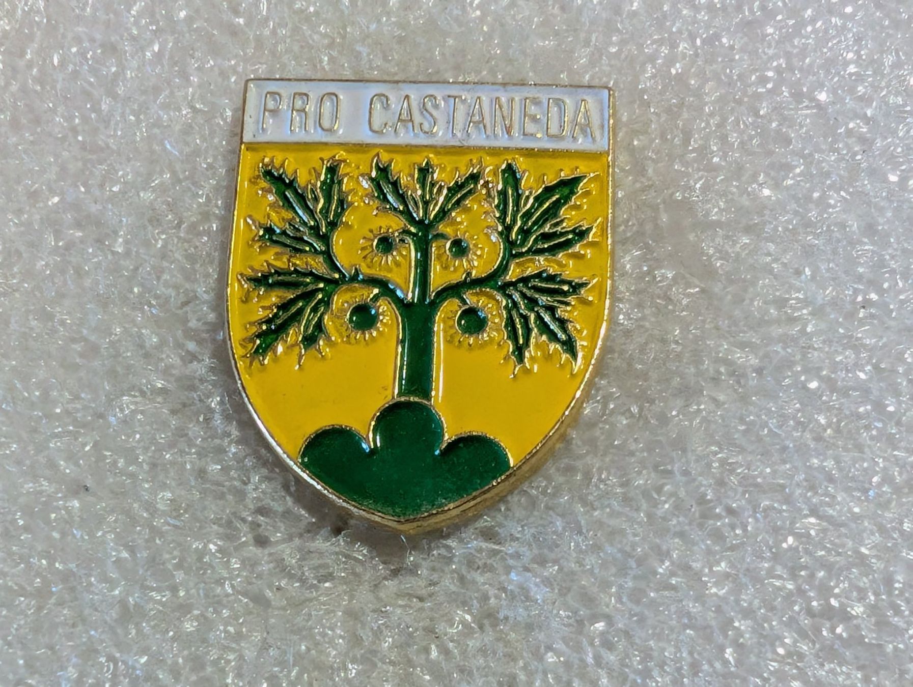 Placchette & Badge: Ansteckpin 117: Pro Castaneda – Usato da Oppligen venduto da Pin-Fall-Shop
