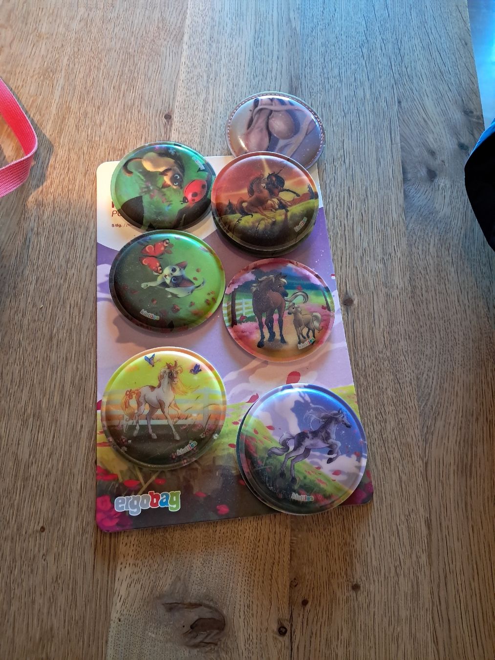 Kindertaschen: Ergobag Schulrucksack mit Turnbeutel und Kletties  – Gebraucht aus Signau von 87sue 7