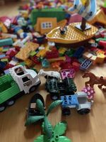 Grande lotto Lego Duplo