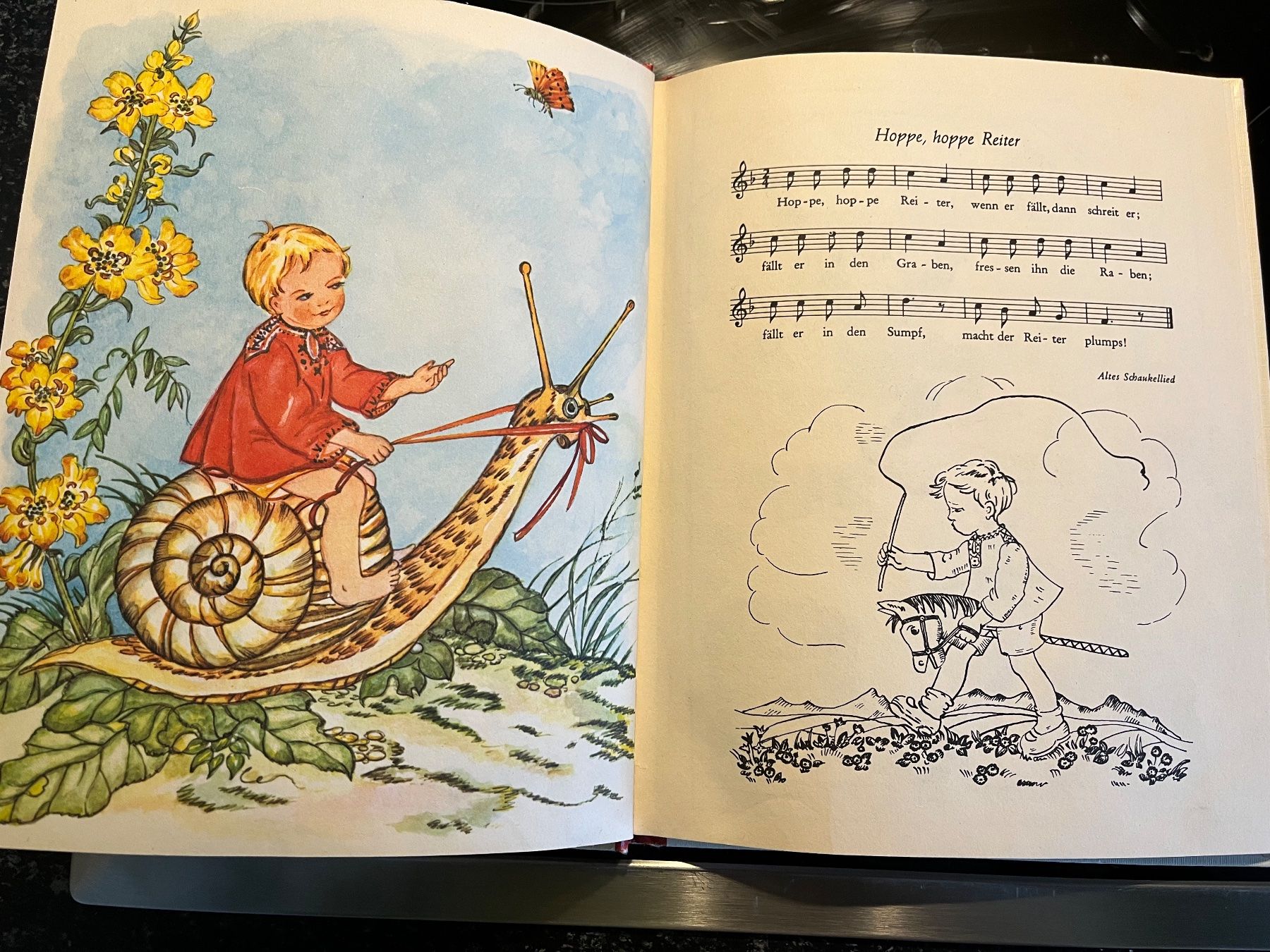 Libri: 2 alte Kinderbücher "Lieder und Verse" – Usato da Flumenthal venduto da Fetthenne 4