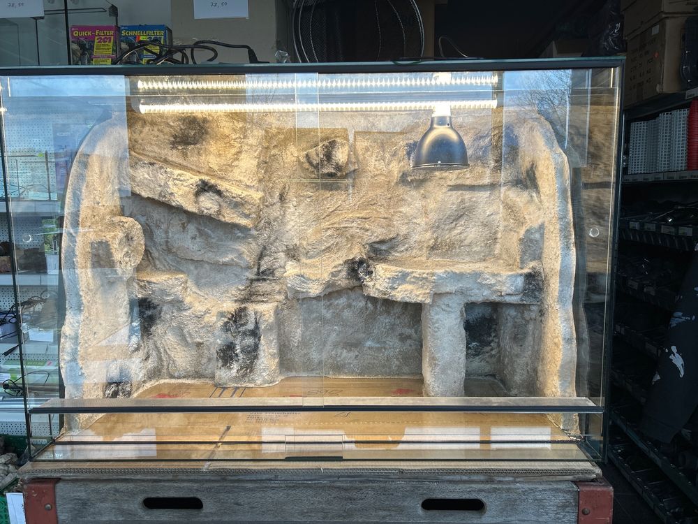 3D Terrarium Rückwand 120x50 Cm - Wüstenlandschaft Mit Kakteen Design