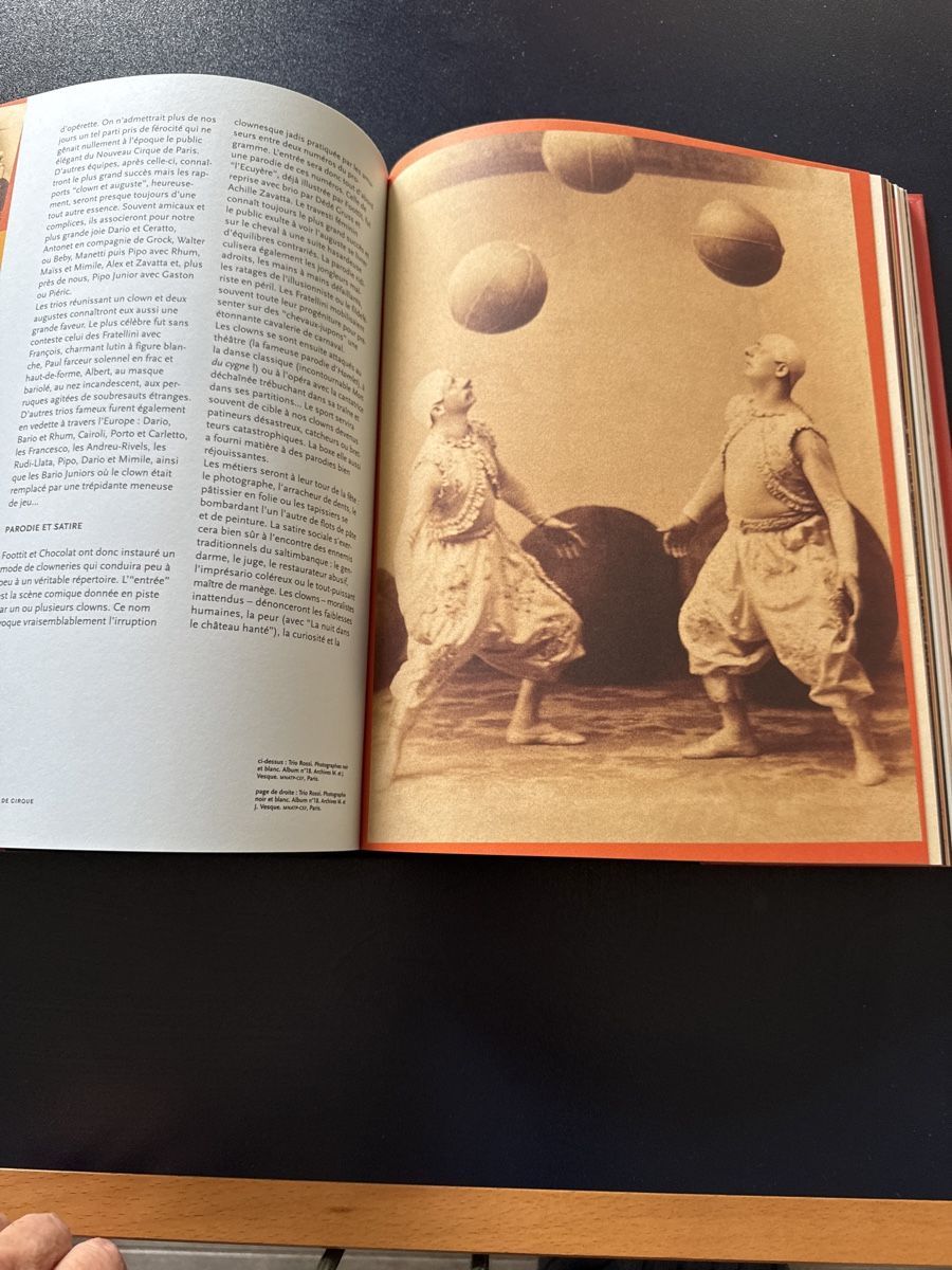 Libri: Livre "JOURS DE CIRQUE" Etat Neuf – Nuovo e nell'imballaggio originale da moudon venduto da jaunejaunelapinjaune 2