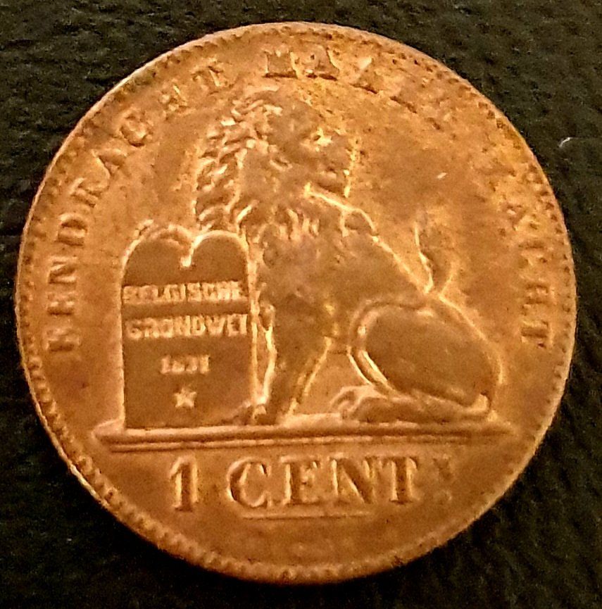 Tutti le monete: 1 Cent Belgien 1901 – Usato da Egerkingen venduto da Acc1 1