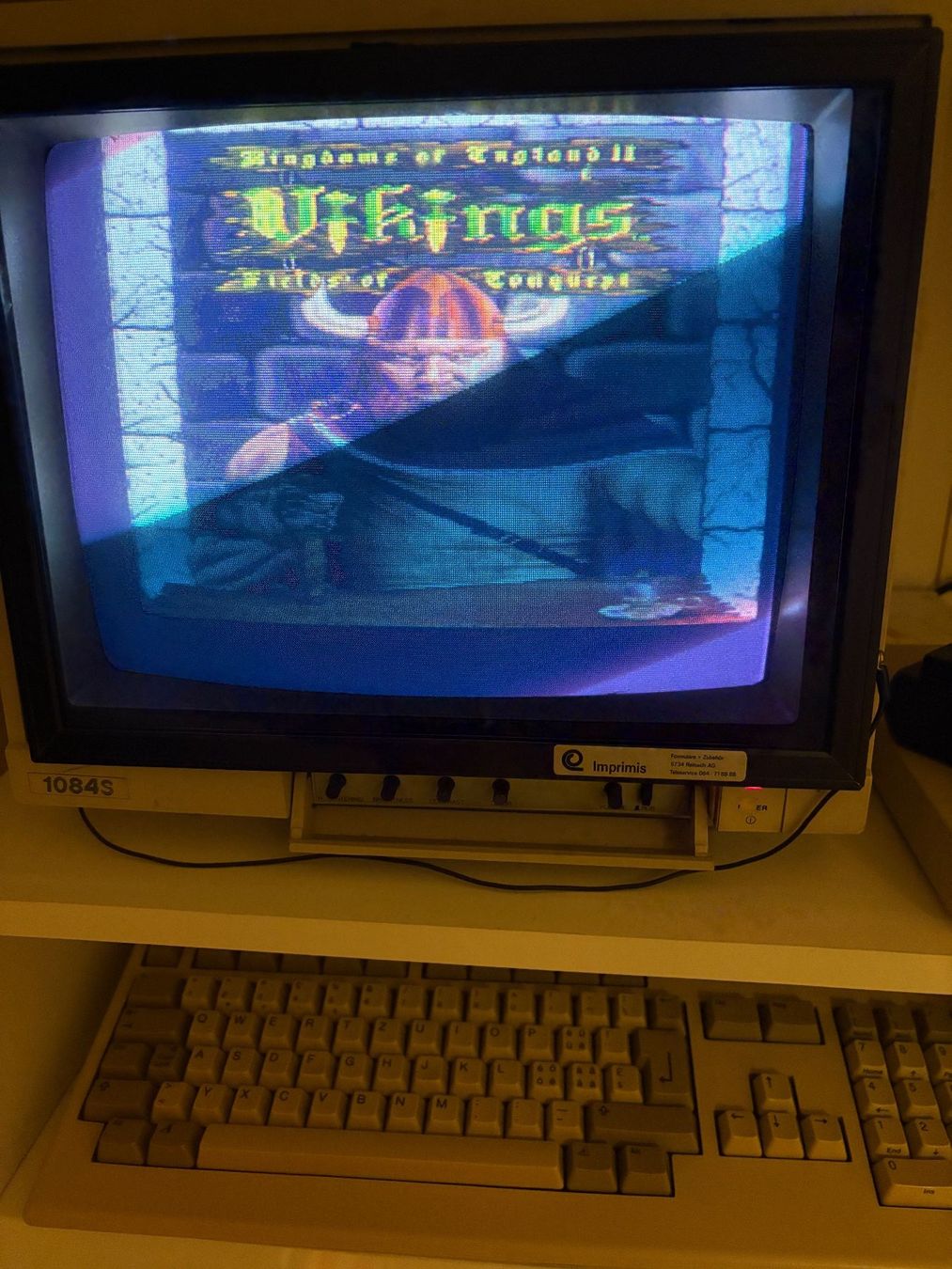 Giochi: Amiga Spiel: Vikings: Fields of Conquest – Usato da Niederhasli venduto da Manuf0 4