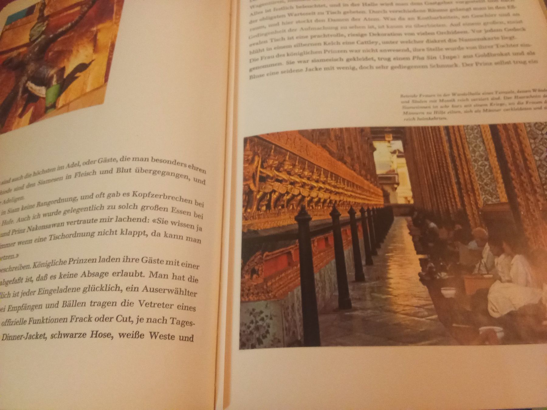 Livres: Siam Silva Verlag – D'occasion à Remetschwil par Privatflohmi 3