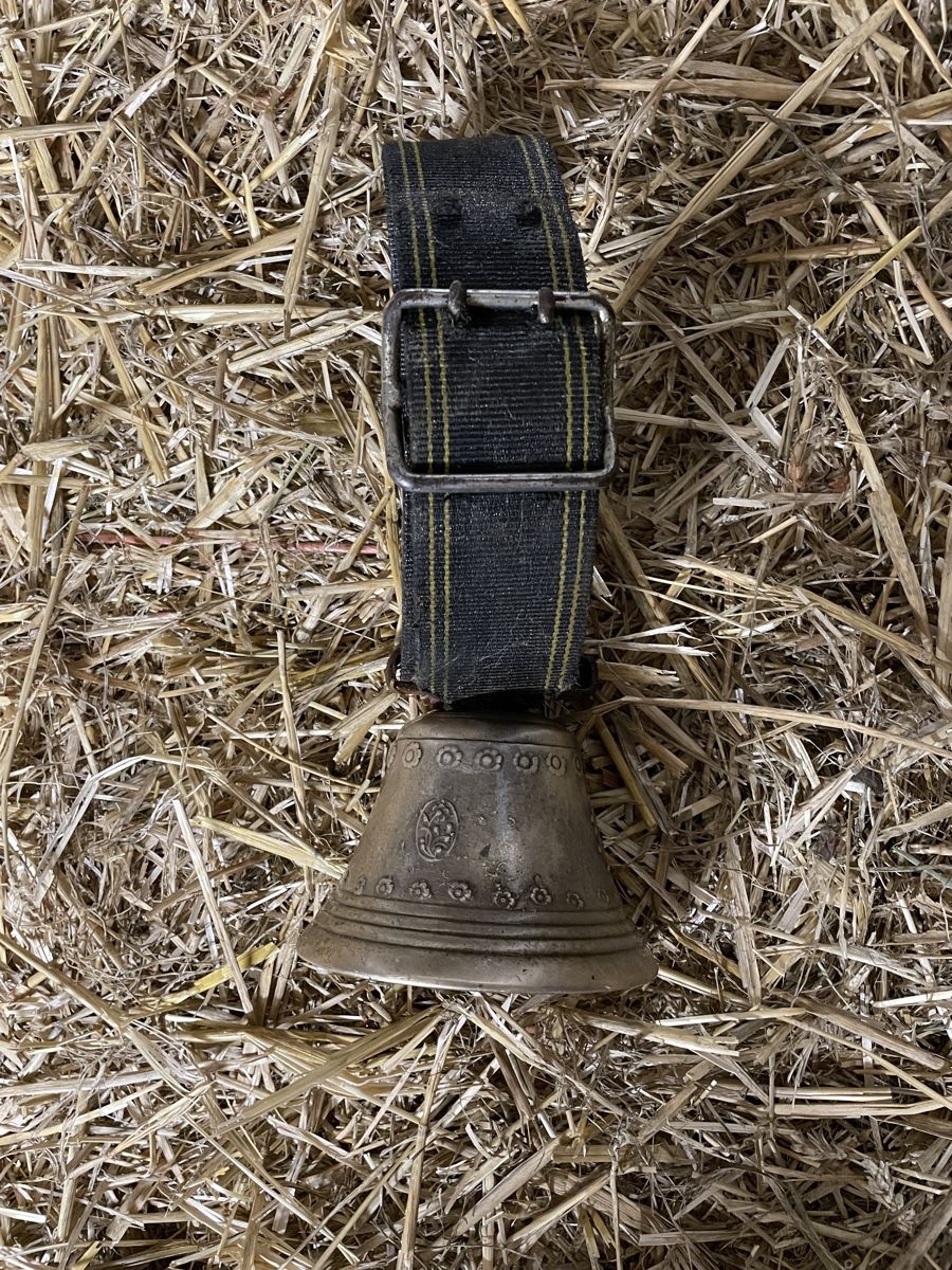 Cloches & sonnailles: Glocke für Schafe oder Ziegen – D'occasion à Walterswil BE par Cad6 1