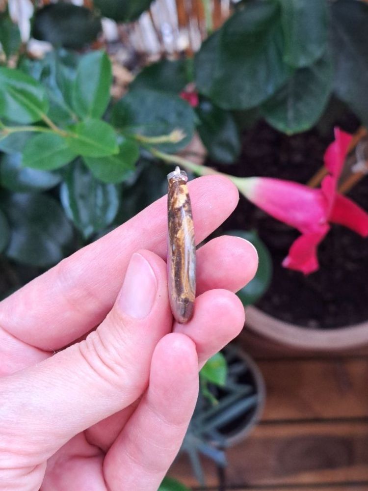 Anhänger: Boulder Opal aus Australien Anhänger – Neu und originalverpackt aus Richterswil von Viorella 1