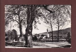 CHÊNE BOURG - La Seymaz et environs - 1957