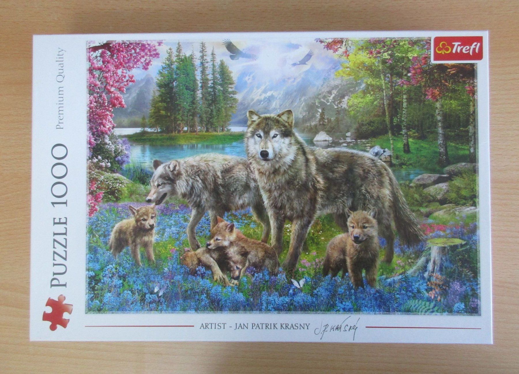 Puzzle: Trefl Puzzle 1000 Teile – Usato da Langnau i. / E. venduto da ferrari017